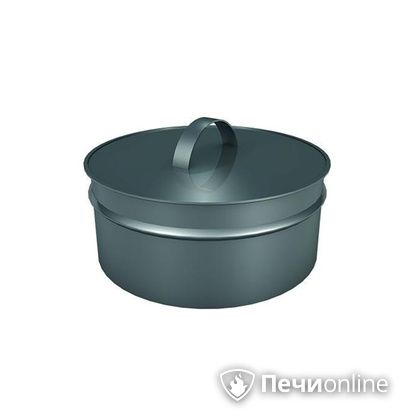 Заглушки Теплов и Сухов Заглушка ревизии Термо-Р 304 0.5 D300(200) в Нижневартовске
