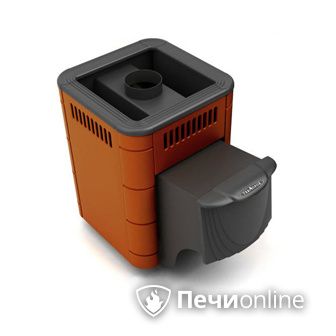 Дровяная банная печь TMF Оса Carbon терракота дверь антрацит в Нижневартовске